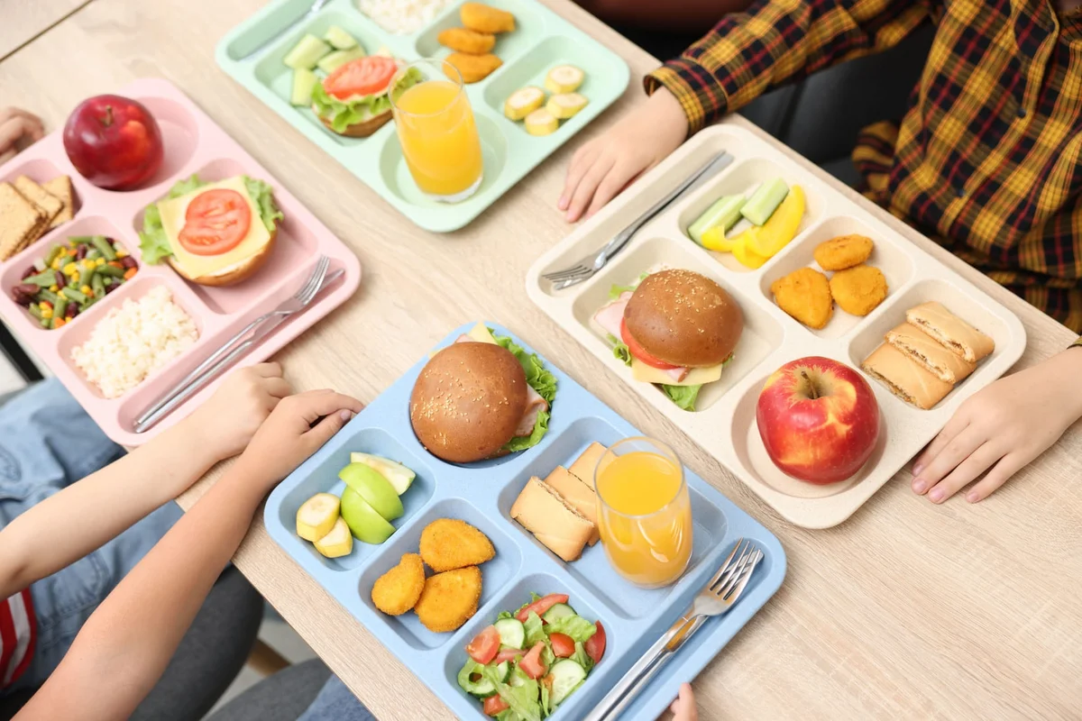 Swiss Canonica gourmet meals